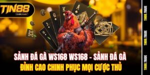 Sảnh đá gà WS168 WS168 – Sảnh đá gà đỉnh cao chinh phục mọi cược thủ
