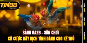 Sảnh GA28: Sân chơi cá cược đầy kịch tính dành cho kê thủ